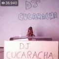DJ cucaracha 