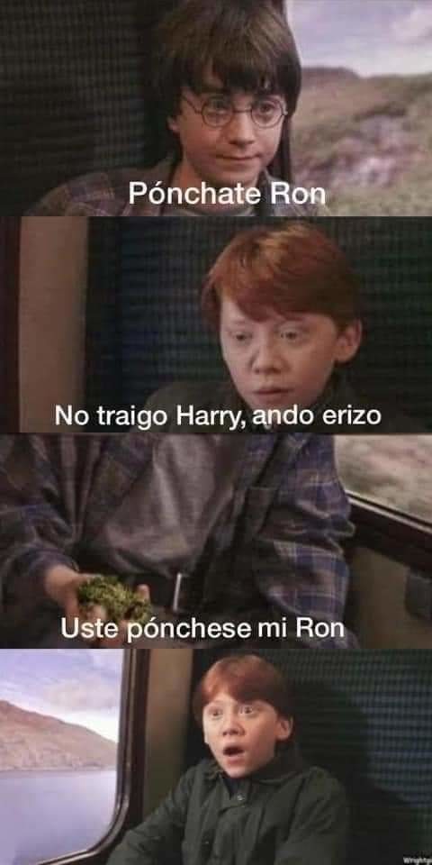 Pov de mi vida jaja usted ponchese mi Ron - meme