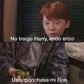 Pov de mi vida jaja usted ponchese mi Ron