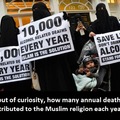 I think Muslims don't fully grasp irony