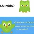 que cruel el duolingo