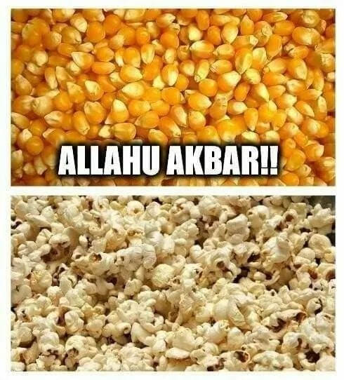 Snackbar - meme