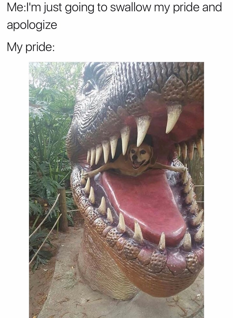 Pride is a hard pill to swallow - meme