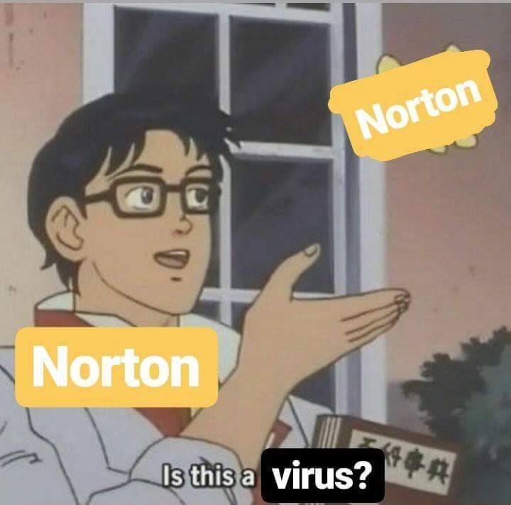 just Norton.. - meme