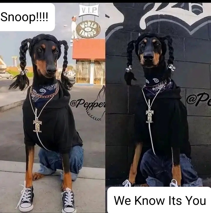 Snoop we know it's you bruh - meme