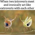 Introverts wholesome meme