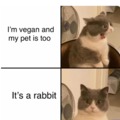 The panic! Then you realize that it's an animal that doesn't need to eat meat to live XD