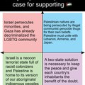 Every US political spectrum's case for supporting Palestine