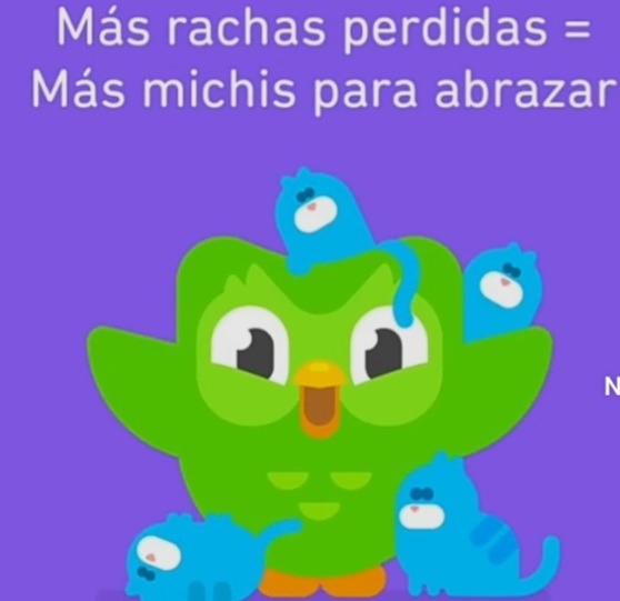 Duolingo - meme