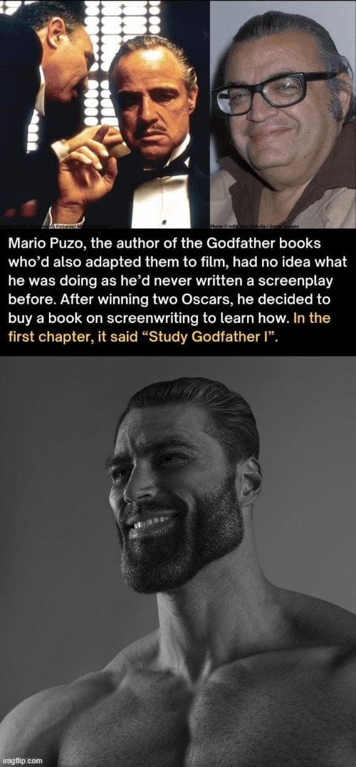 The author of the Godfather is real gigachad - meme