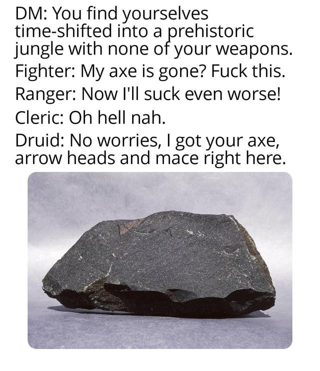DM drops you in prehistory and your druid’s thriving - meme