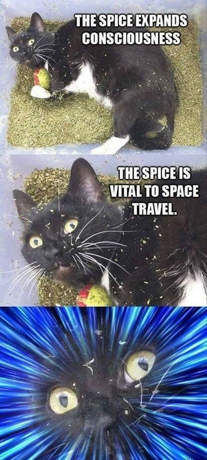 He who controls the catnip, controls the universe! - meme