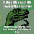 Free shells