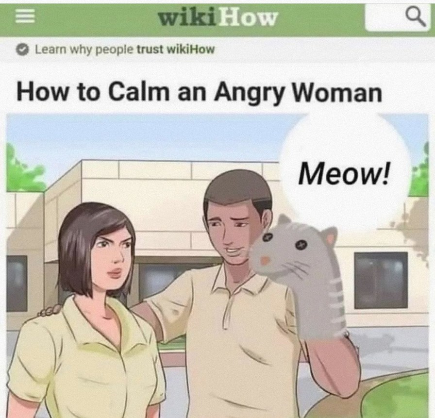 Meow - meme