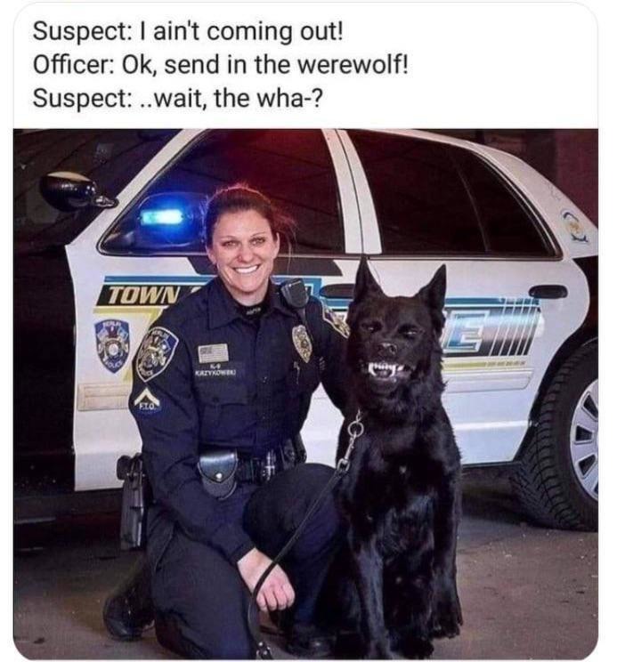 Send in the werewolf - meme