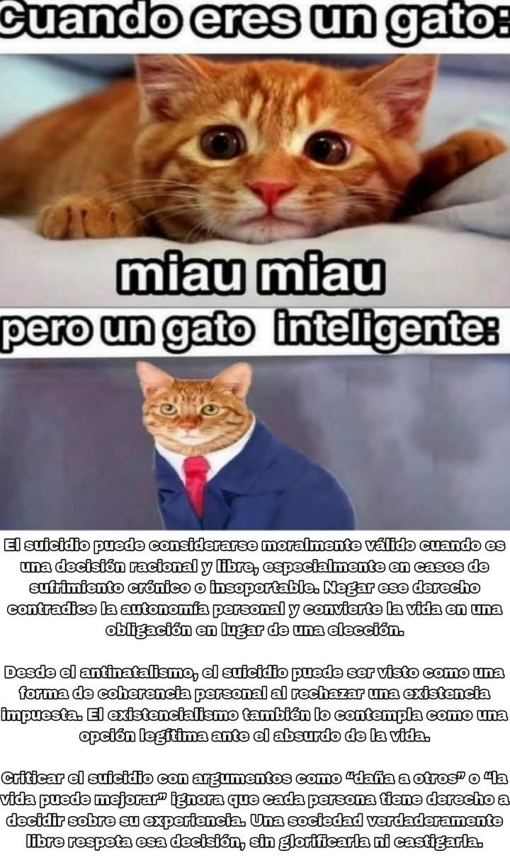 Buenos dias - meme