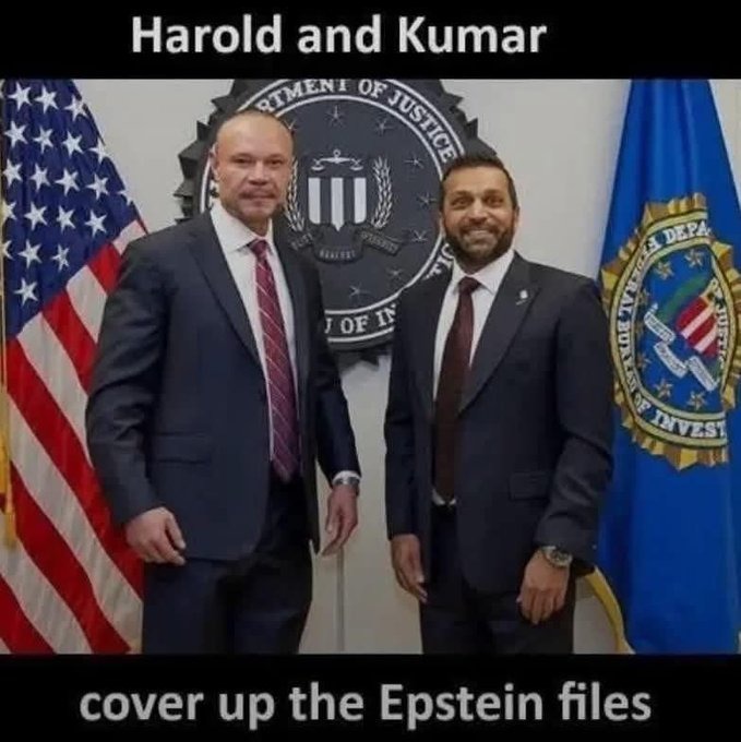 the cover up of the century - meme