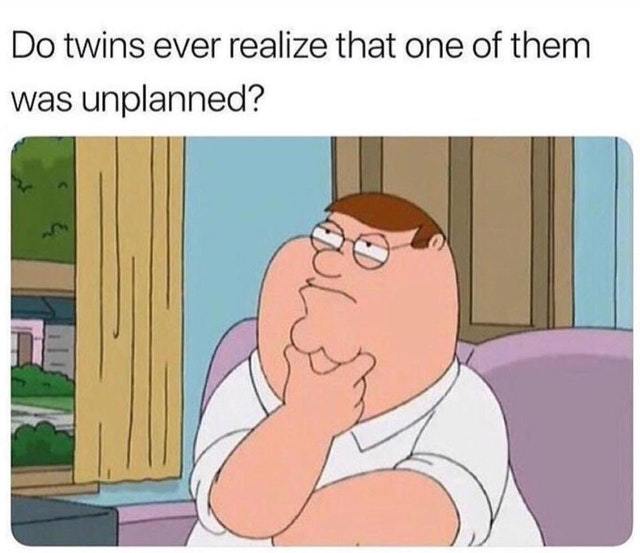 One of every two twins was probably not planned - meme