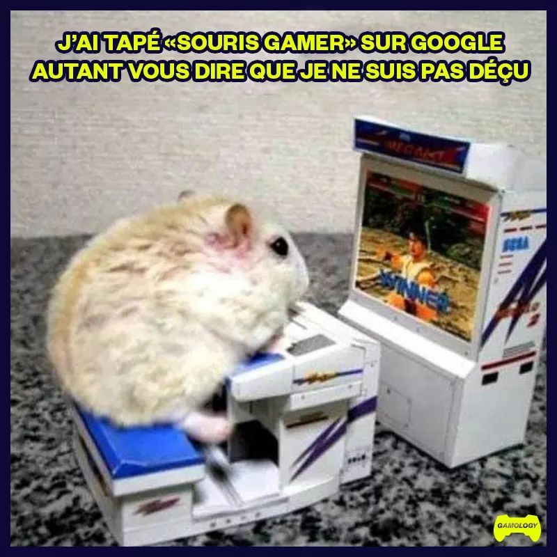Mouse gamer - meme