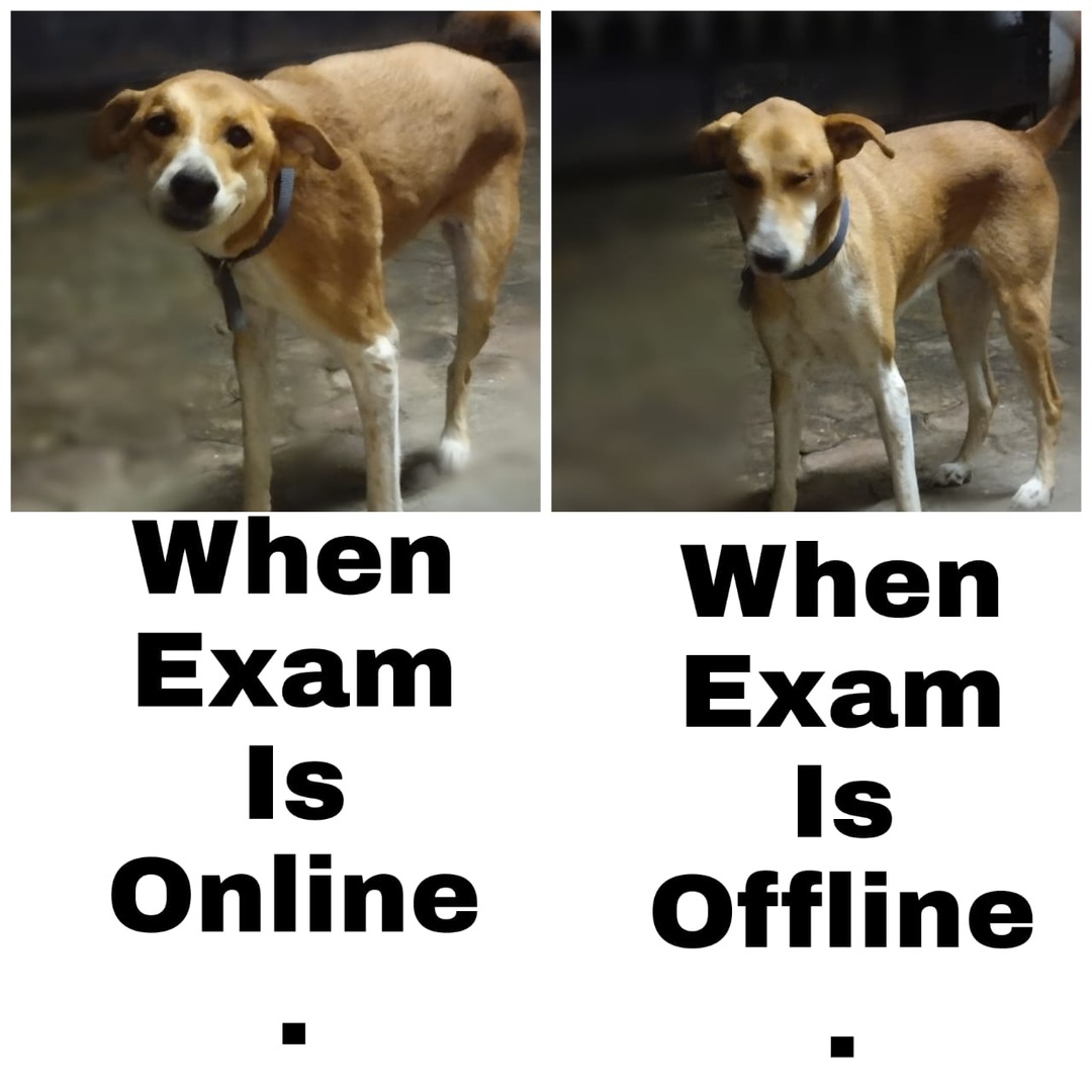 Exam - meme