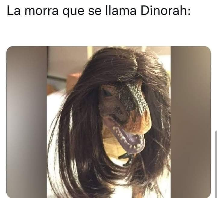 Dinorah: - meme