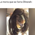 Dinorah: