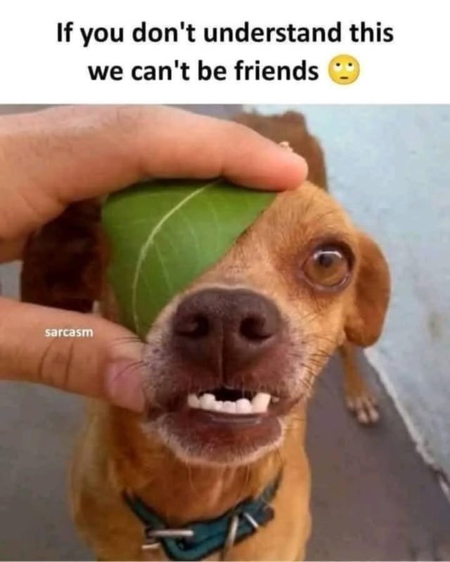 If you don’t get this we’re not friends - meme