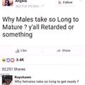 Why males take so long to mature?
