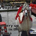get in the llama
