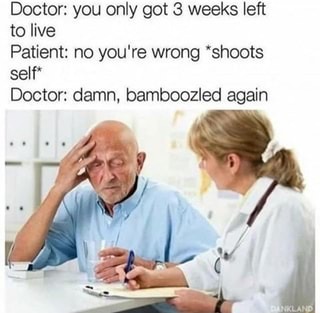 bamboozeled - meme