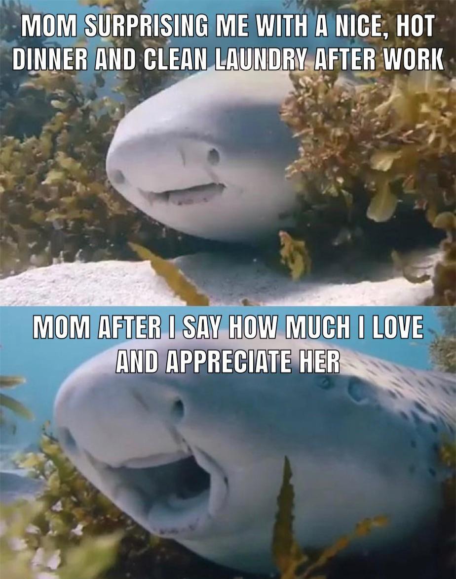 wholesome mom - meme