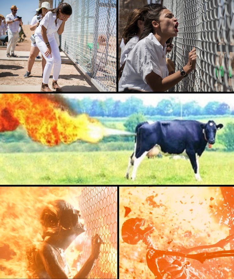 Cow Farts - meme