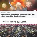 IMMUNE SYSTEM STRONG LIKE TURNIP VODKA AND DURABLE LIKE RUSSIAN WOMAN