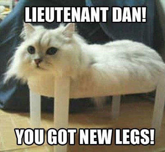 Lieutenant Dan YOU GOT NEW LEGS - meme