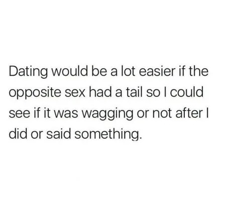 Dating would be easier for sure - meme
