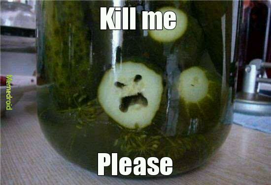 Favorite pickle? - meme