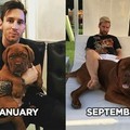 A big dog like that must be Messi...