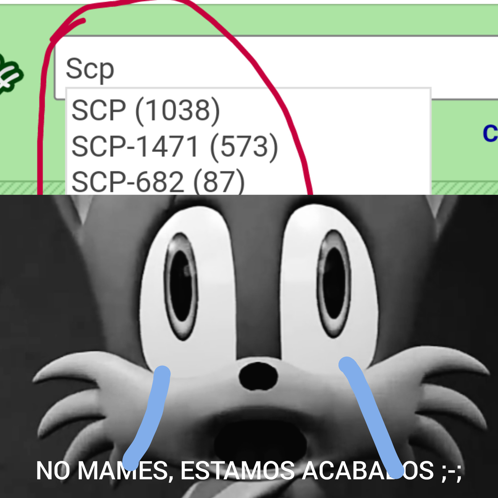 SCP en la regla 34 - meme