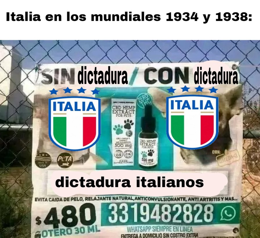 Pinches italianos con su dictadura - meme