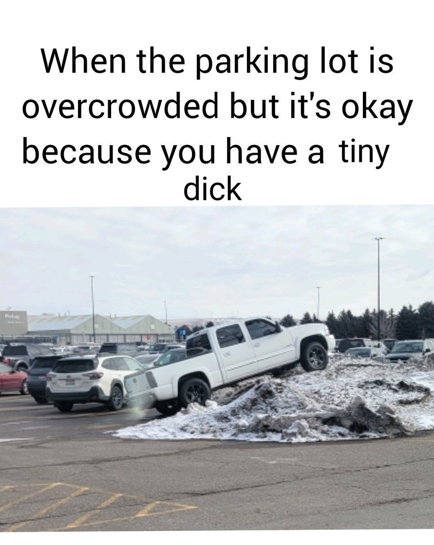 Tiny dick car bro - meme