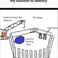 Solution to obesity