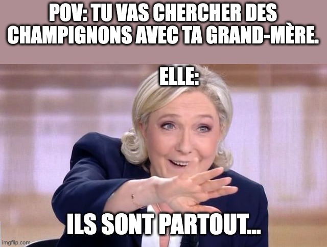 ce meme va sans doute sortir en 2025(posté en 2024 à la modo)