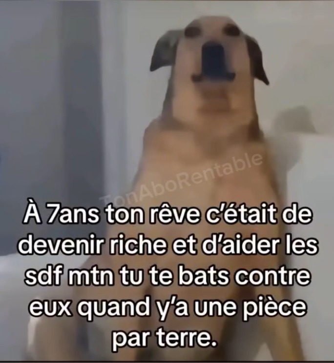 Abo vous a mon insta @tonaborentable bientôt 13k followers - meme