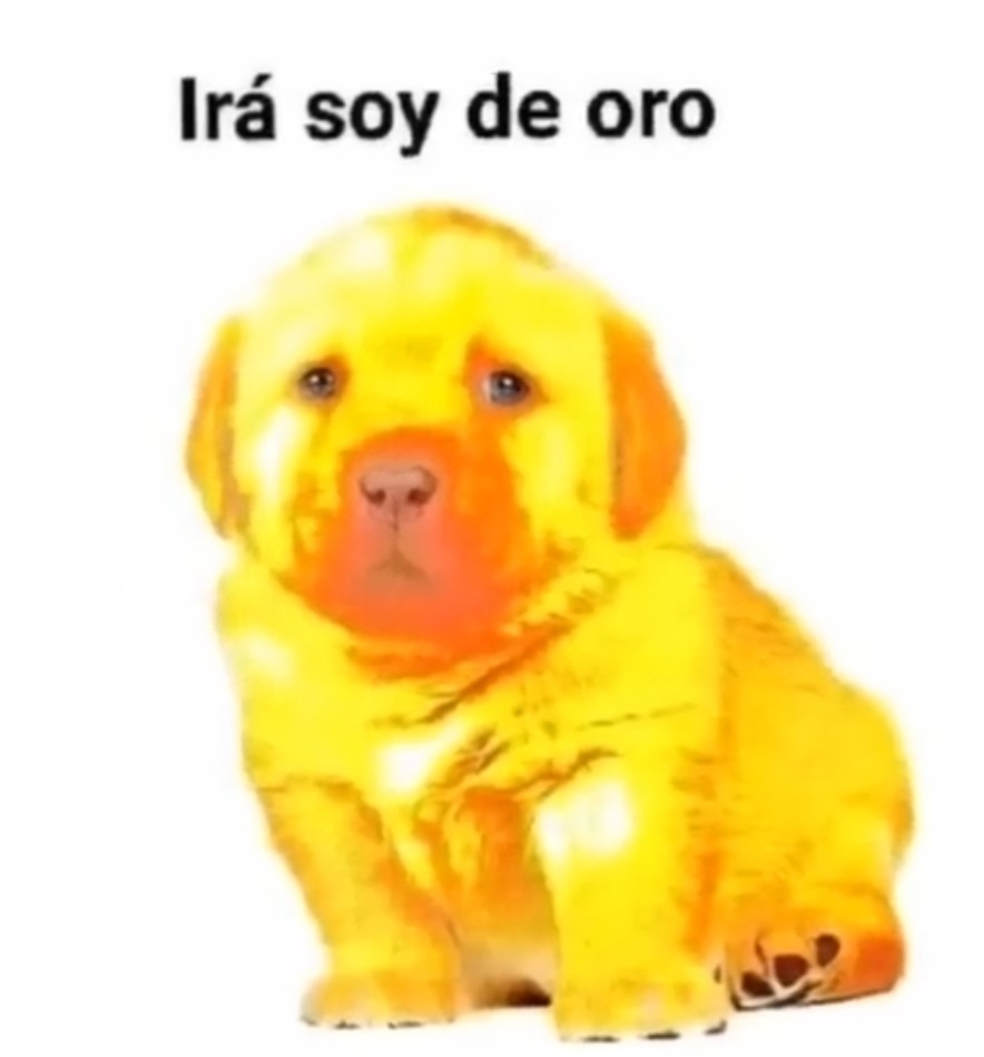 Iren es de oro - meme