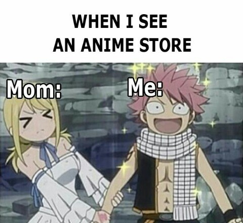 Funny Fairy Tail Memes