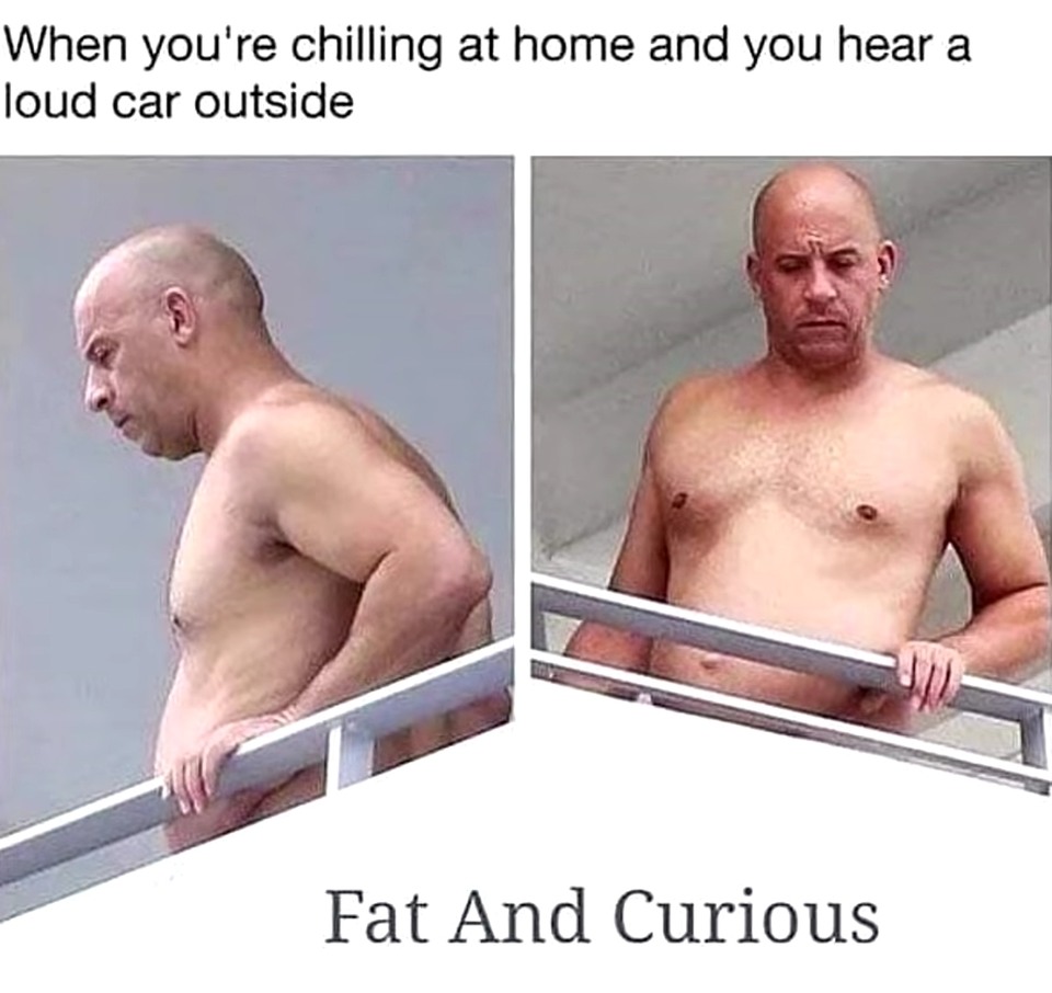 Fat - meme