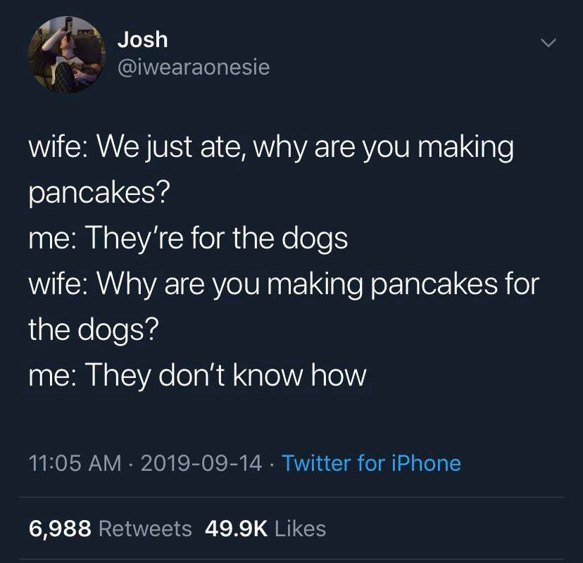 Paws aren't good for flipping pancakes - meme