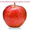 Apples and orphans