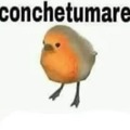 Conchetumare