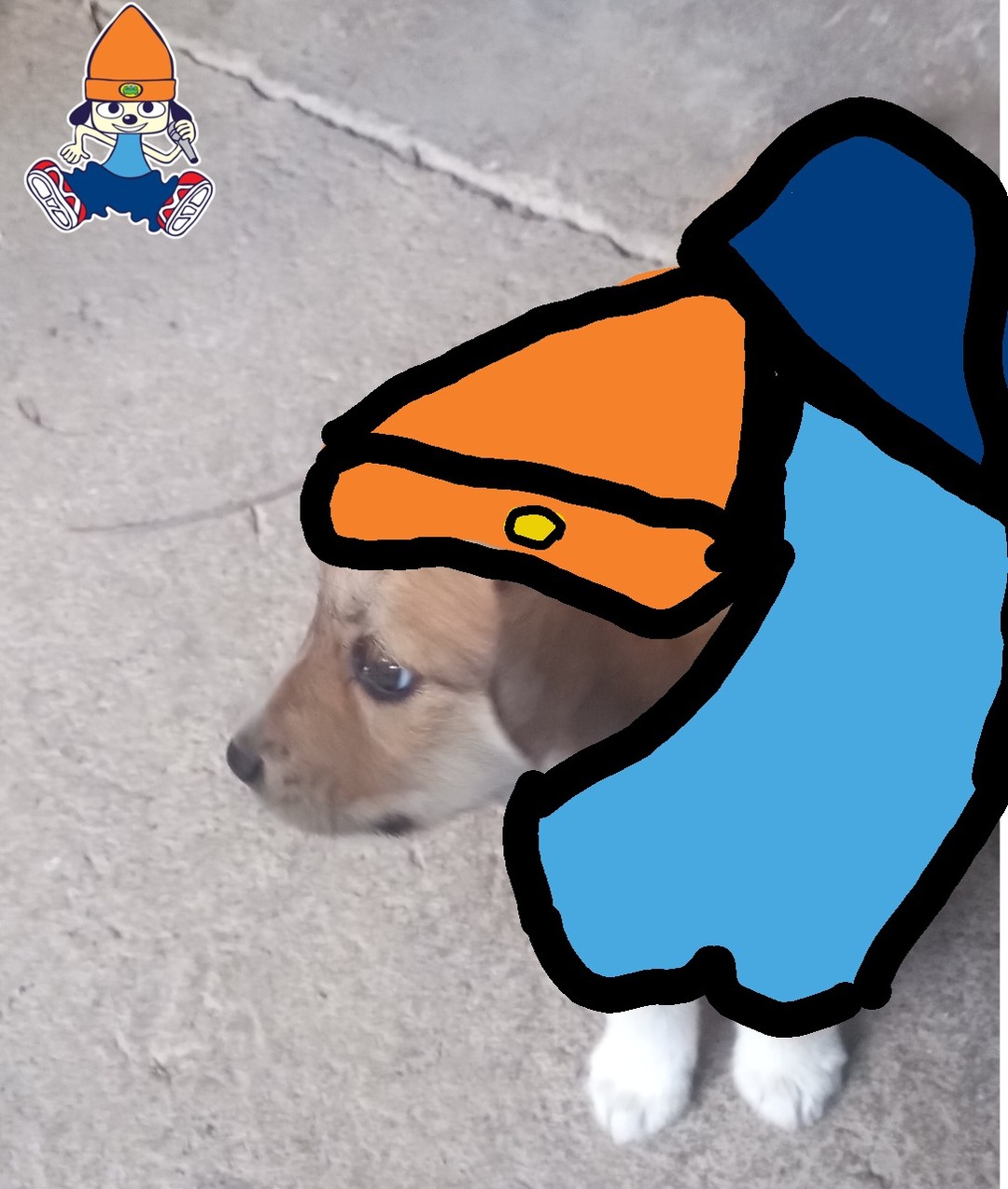Parrappa en la vida real - meme